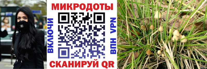 Псилоцибиновые грибы Psilocybine cubensis  мега tor  Шацк 